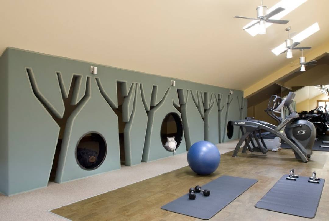 salle de gym